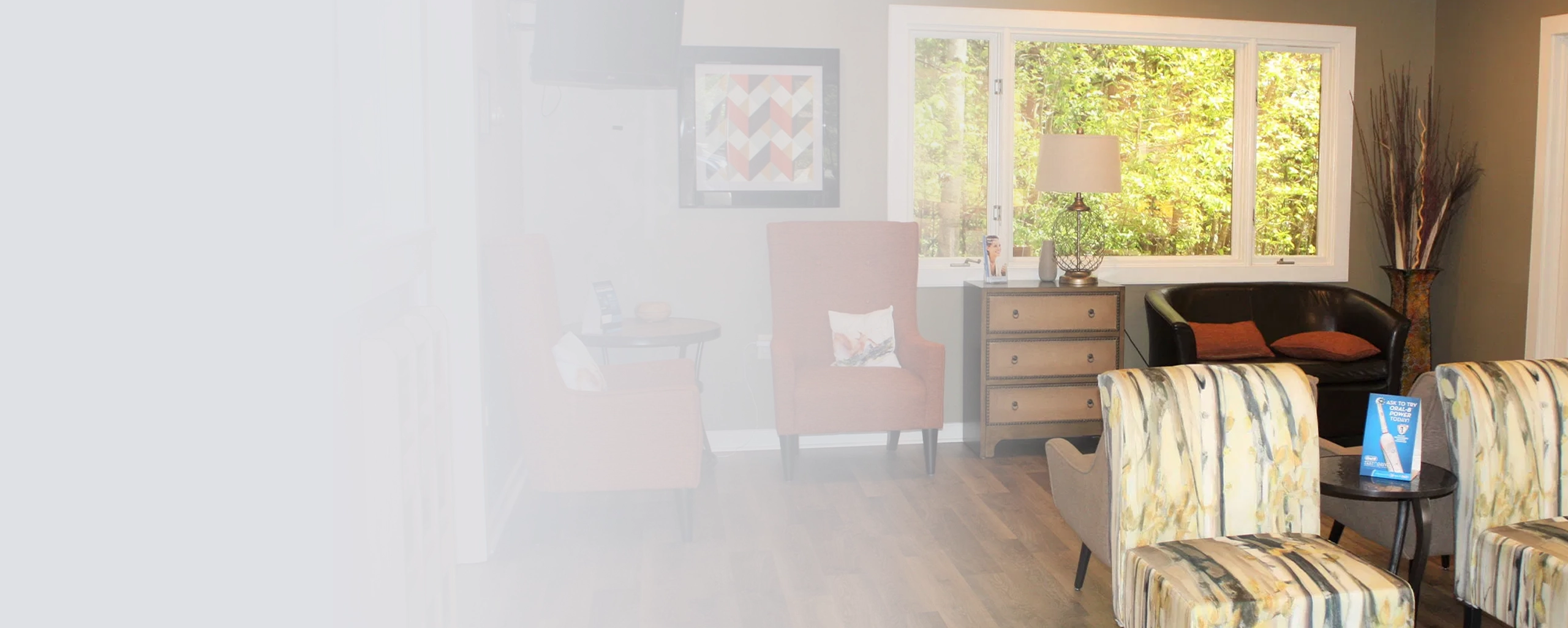 Bright dental office corner with organized storage shelves, window, and natural décor elements.