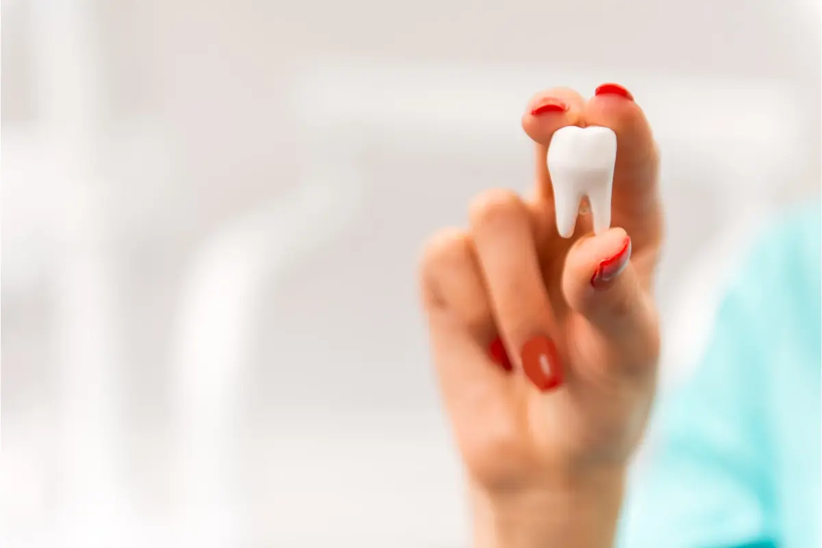 Hand holding a white tooth model showing dental pain and inflammation.